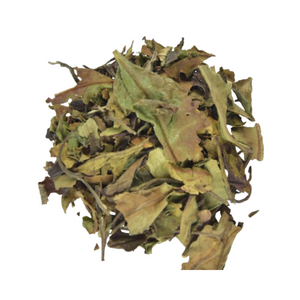 Bai Mu Dan BIO